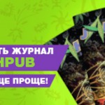 Первый украинский журнал о каннабисе “Jah Pub”